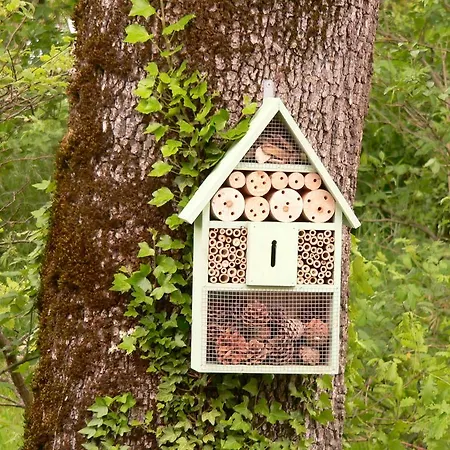 D'hote L'arrivee Alojamento de Acomodação e Pequeno-almoço